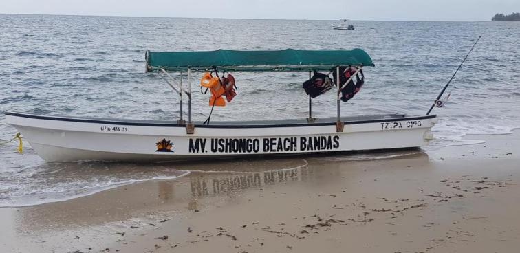 Ushongo Beach Bandas Pangani Exterior photo