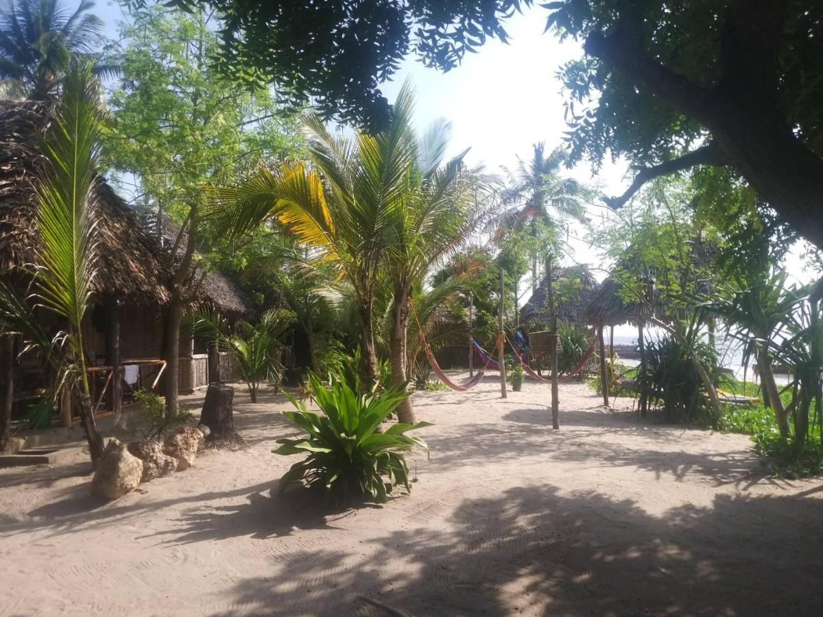 Ushongo Beach Bandas Villa Pangani Exterior photo